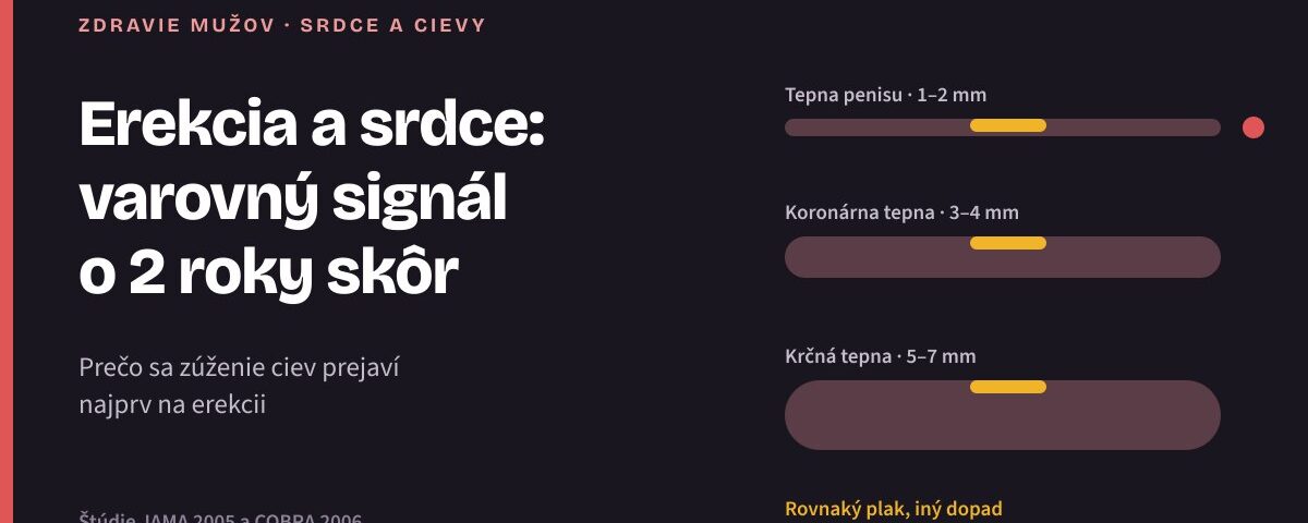 Erektilná dysfunkcia a srdce: prečo je erekcia včasným varovným signálom Porovnanie tepny penisu, koronárnej a krčnej tepny s rovnako veľkým aterosklerotickým plakom