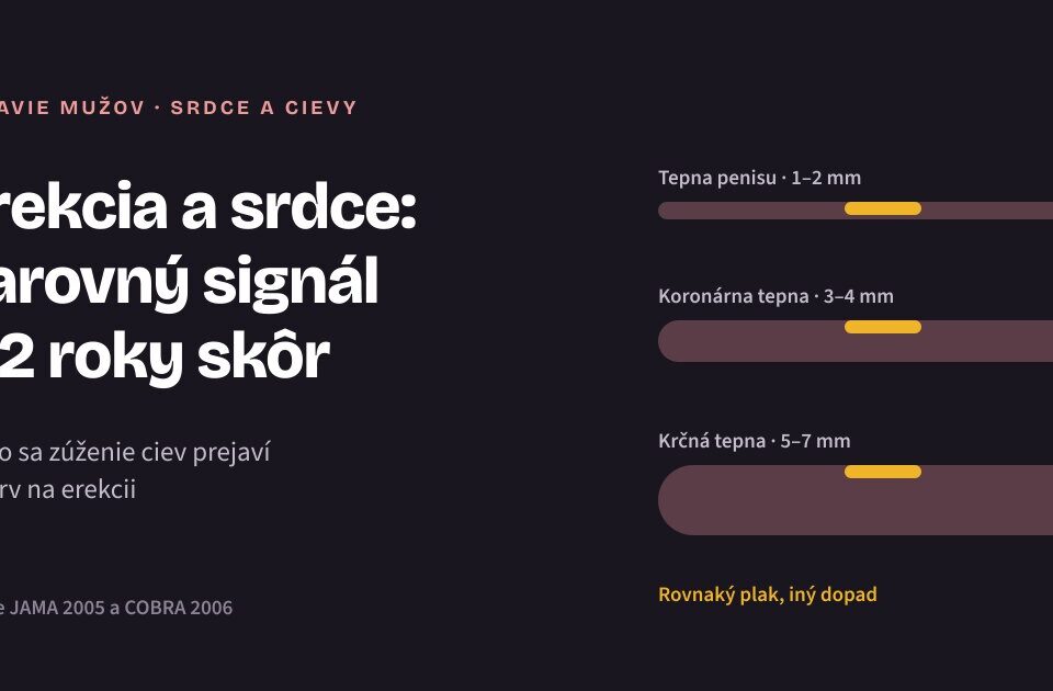 Erektilná dysfunkcia a srdce: prečo je erekcia včasným varovným signálom Porovnanie tepny penisu, koronárnej a krčnej tepny s rovnako veľkým aterosklerotickým plakom